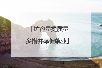 扩容量提质量 多措并举促就业