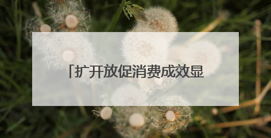 扩开放促消费成效显著！日照最新发布