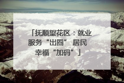 抚顺望花区：就业服务“出圈” 居民幸福“加码”