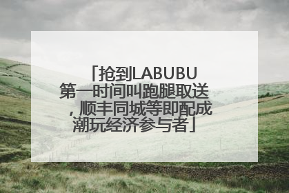抢到LABUBU第一时间叫跑腿取送，顺丰同城等即配成潮玩经济参与者