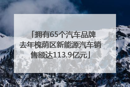 拥有65个汽车品牌 去年槐荫区新能源汽车销售额达113.9亿元