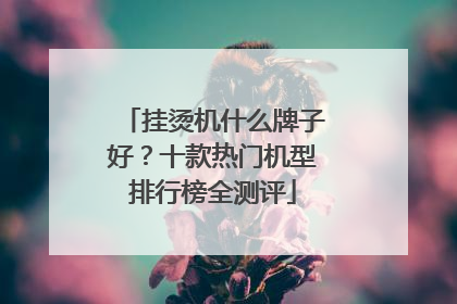 挂烫机什么牌子好？十款热门机型排行榜全测评