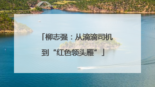 柳志强：从滴滴司机到“红色领头雁”