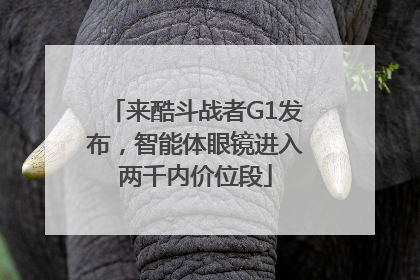 来酷斗战者G1发布，智能体眼镜进入两千内价位段