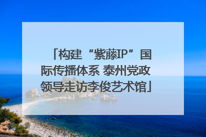 构建“紫藤IP”国际传播体系 泰州党政领导走访李俊艺术馆