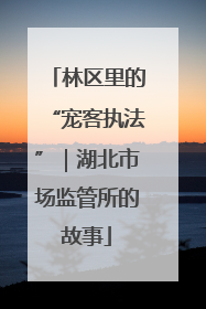 林区里的“宠客执法”｜湖北市场监管所的故事