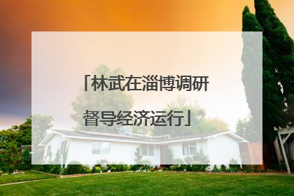 林武在淄博调研督导经济运行