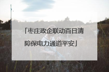 枣庄政企联动百日清障保电力通道平安
