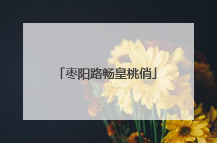 枣阳路畅皇桃俏