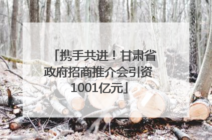 携手共进！甘肃省政府招商推介会引资1001亿元