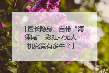 擅长隐身、自带“海狸尾” 彩虹-7无人机究竟有多牛？