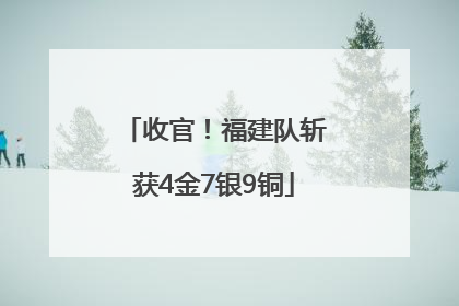 收官！福建队斩获4金7银9铜