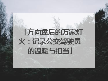 方向盘后的万家灯火：记录公交驾驶员的温暖与担当