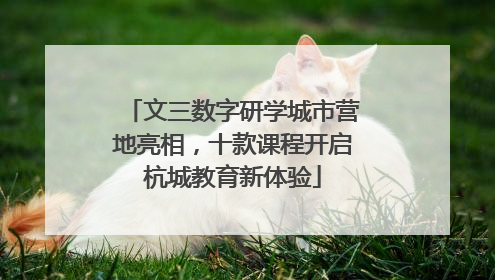 文三数字研学城市营地亮相，十款课程开启杭城教育新体验