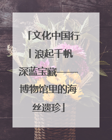 文化中国行丨浪起千帆 深蓝宝藏——博物馆里的海丝遗珍