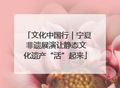 文化中国行｜宁夏 非遗展演让静态文化遗产“活”起来