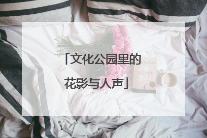 文化公园里的花影与人声