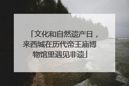 文化和自然遗产日,来西城在历代帝王庙博物馆里遇见非遗