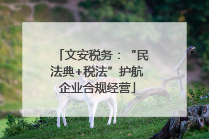 文安税务：“民法典+税法”护航企业合规经营
