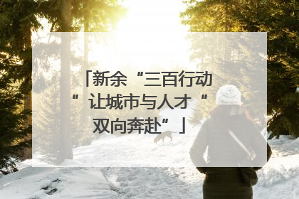 新余“三百行动”让城市与人才“双向奔赴”