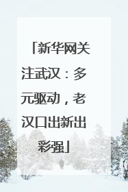 新华网关注武汉：多元驱动，老汉口出新出彩强