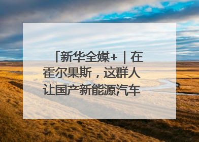 新华全媒+｜在霍尔果斯，这群人让国产新能源汽车“跑”向中亚