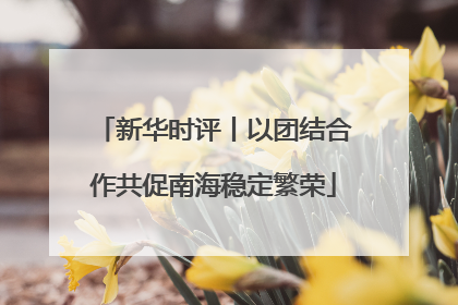 新华时评丨以团结合作共促南海稳定繁荣