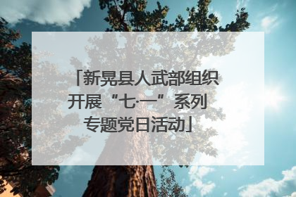 新晃县人武部组织开展“七·一”系列专题党日活动