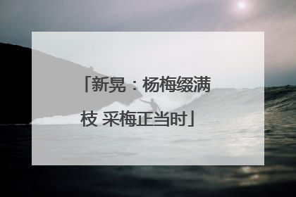 新晃：杨梅缀满枝 采梅正当时