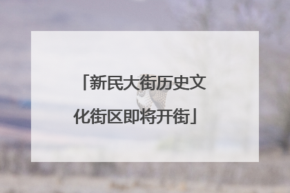 新民大街历史文化街区即将开街