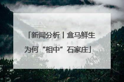 新闻分析丨盒马鲜生为何“相中”石家庄