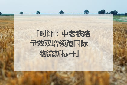 时评：中老铁路量效双增领跑国际物流新标杆