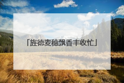 旌德麦穗飘香丰收忙