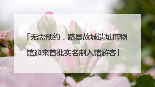 无需预约，路县故城遗址博物馆迎来首批实名制入馆游客