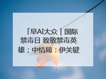早AI大众｜国际禁毒日 致敬禁毒英雄；中情局：伊关键核设施被摧毁