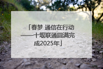 春梦 通信在行动——十堰联通圆满完成2025年