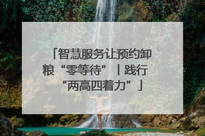 智慧服务让预约卸粮“零等待”丨践行“两高四着力”
