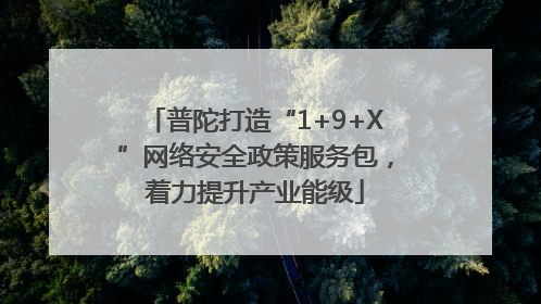普陀打造“1+9+X”网络安全政策服务包，着力提升产业能级