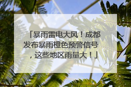 暴雨雷电大风！成都发布暴雨橙色预警信号，这些地区雨量大！