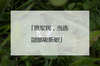 暨军民，当选副部级新职