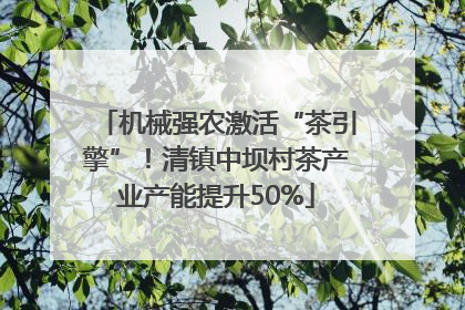 机械强农激活“茶引擎”！清镇中坝村茶产业产能提升50%