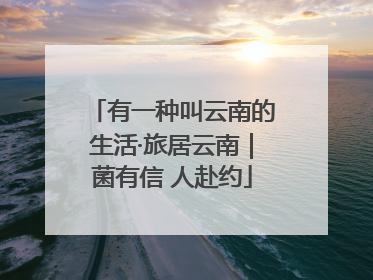 有一种叫云南的生活·旅居云南｜菌有信 人赴约