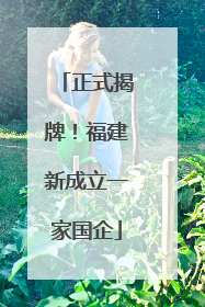 正式揭牌！福建新成立一家国企