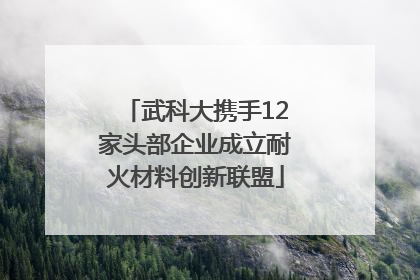 武科大携手12家头部企业成立耐火材料创新联盟