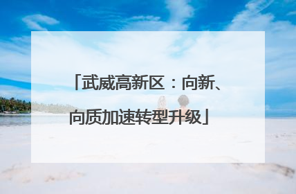 武威高新区：向新、向质加速转型升级