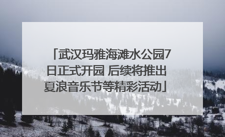 武汉玛雅海滩水公园7日正式开园 后续将推出夏浪音乐节等精彩活动