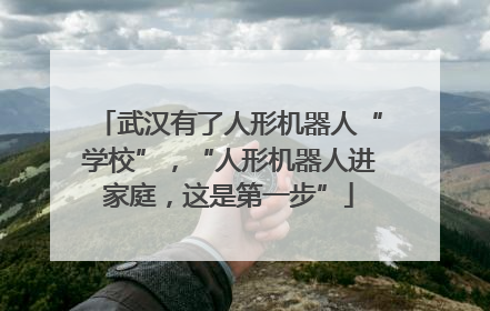 武汉有了人形机器人“学校”，“人形机器人进家庭，这是第一步”