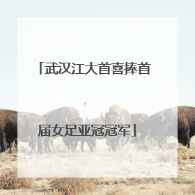 武汉江大首喜捧首届女足亚冠冠军