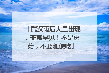 武汉雨后大量出现，非常罕见！不是蘑菇，不要随便吃