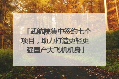 武航院集中签约七个项目，助力打造更轻更强国产大飞机机身